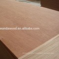 plywood board/commercial plywood